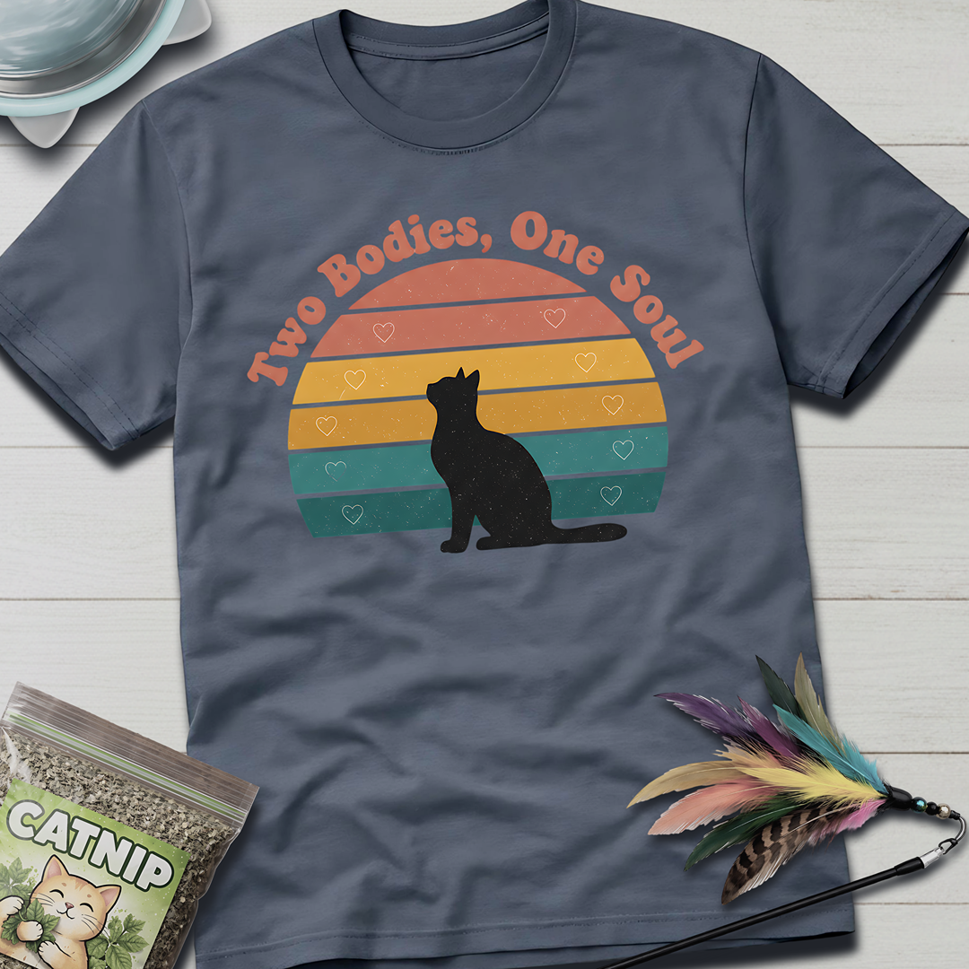 2 Bodies 1 Soul T-Shirt